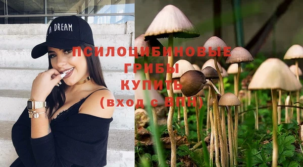 хмурый Алексеевка