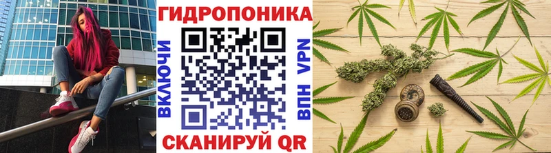 Бошки марихуана VHQ Данилов